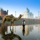 Индийская коллекция